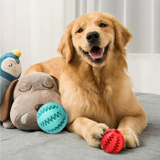 Juguetes Interactivos para Perros Pequeños - Pelotas de Cuerda y Caucho con Dispensador de Premios - Image 8