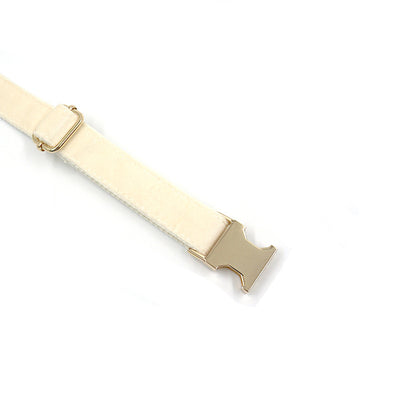 Collar para Perro Acolchado Crema con Hebilla Dorada - Image 8