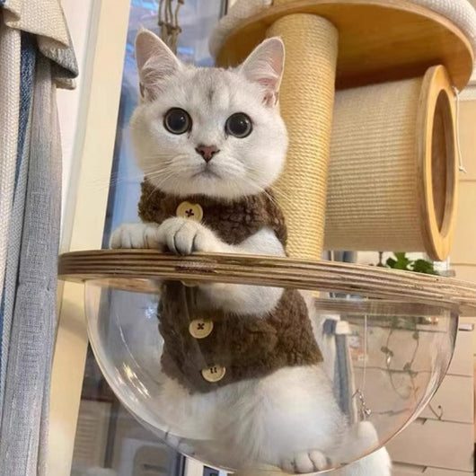 Chaleco Abrigador de Lana de Cordero para Gatos - Diseño Cálido e Adorable - Image 10