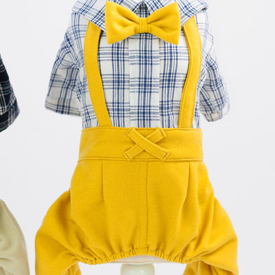 Ropa de Primavera y Verano para Perros - Image 13