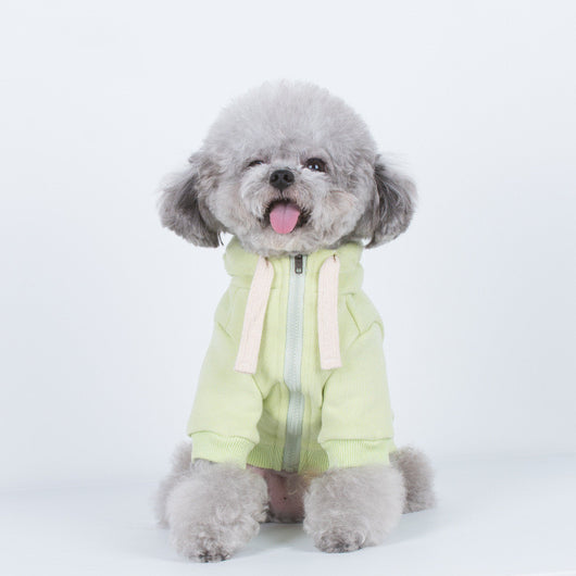 Sudadera con Capucha Macaron para Mascotas - Image 5