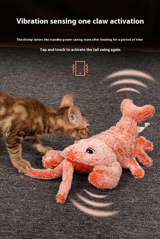 Juguete Dental Eléctrico Recargable USB con Simulación Realista para Mascotas - Image 12