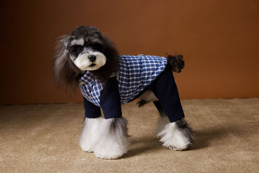 Chaleco Acolchado de Invierno para Perros - Image 21