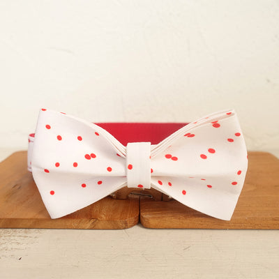 Collar Ajustable para Perros y Gatos - Diseño Personalizable y Cómodo - Image 10
