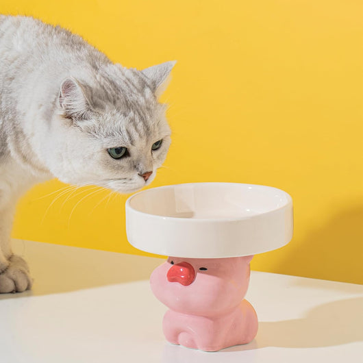 Comedero Elevado para Gatos de Cerámica - Bebedero Antioxidante con Diseño Felino - Image 7