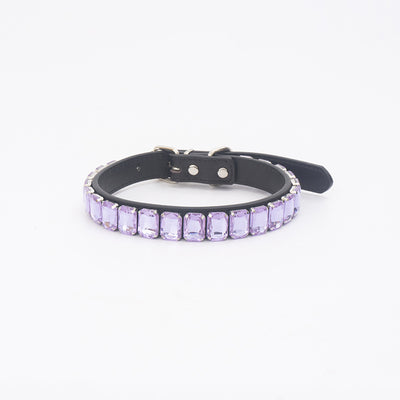 Collar de Poliuretano para Perro y Gato - Image 14