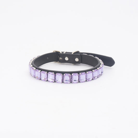 Collar de Poliuretano para Perro y Gato - Image 14
