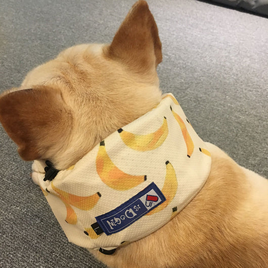 Pañuelo Refrescante para Perros - Bandana Enfriadora AntiCalor - Image 7