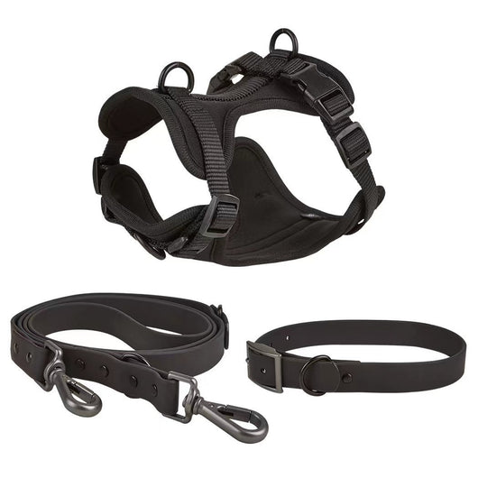 Juego de Correas Universales con Cuerda de Sujeción para Móvil y Accesorios - Image 15