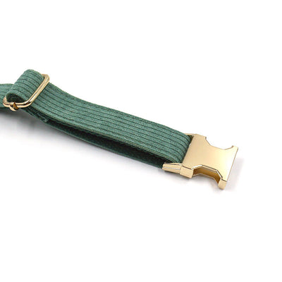 Collar para Perro en Pana Verde Oliva - Image 5