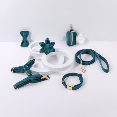 Conjunto de Collar y Correa de Terciopelo Suave para Mascotas - Image 19