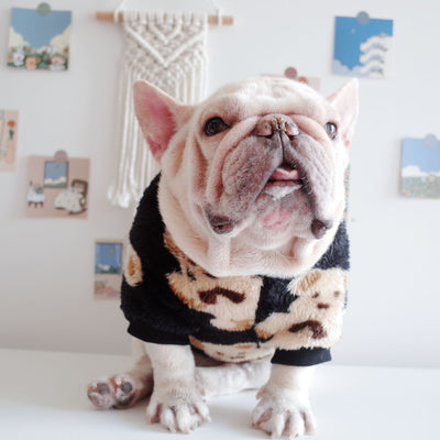 Suéter Térmico para Perros con Diseño Osito - Abrigo Cálido para Otoño e Invierno - Image 9