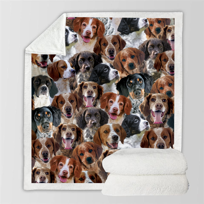 Manta Flanela Estampada para Perros de Moda - Image 64