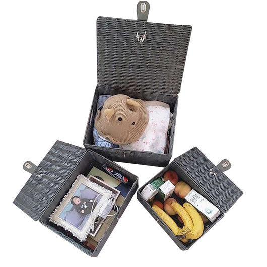 Canasta de Almacenamiento de Ratán Plástico con Tapa para Escritorio - Image 4