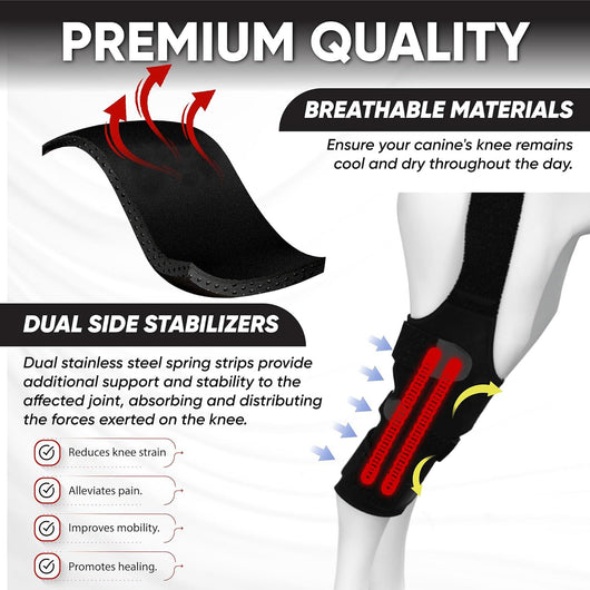 Refuerzo de Rodilla para Perros - Soporte para Patas Traseras - Image 15