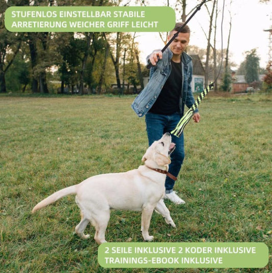 Vara Extensible de Adiestramiento para Perros con Diseño Divertido