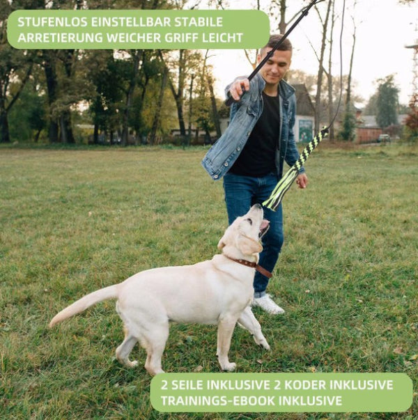 Vara Extensible de Adiestramiento para Perros con Diseño Divertido