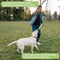 Vara Extensible de Adiestramiento para Perros con Diseño Divertido
