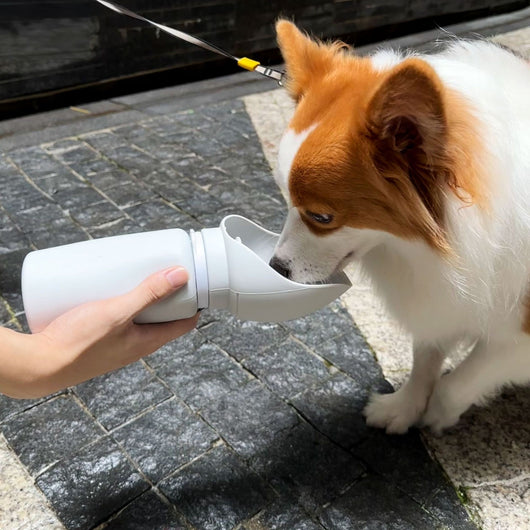Botella Plegable de Gran Capacidad para Mascotas - Portátil y Resistente