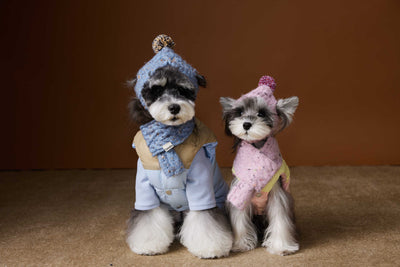 Chaleco Acolchado de Invierno para Perros Pequeños - Teddy, Schnauzer, Bichón - Image 10