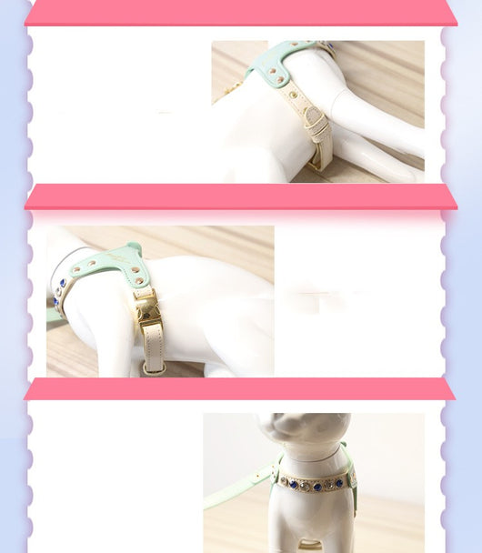Traje Protector Diamond en Cuero PU para Perros y Gatos - Image 10