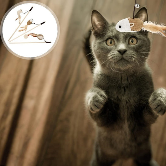 Wooden cat wand toy with a brown string, a small silver bell, a cream fabric mouse, and light brown feathers. - Image 29
