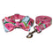 Collar y Correa para Perros - Control Seguro y Cómodo