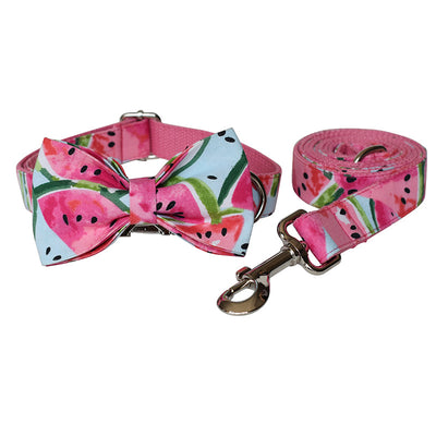Collar y Correa para Perros - Control Seguro y Cómodo
