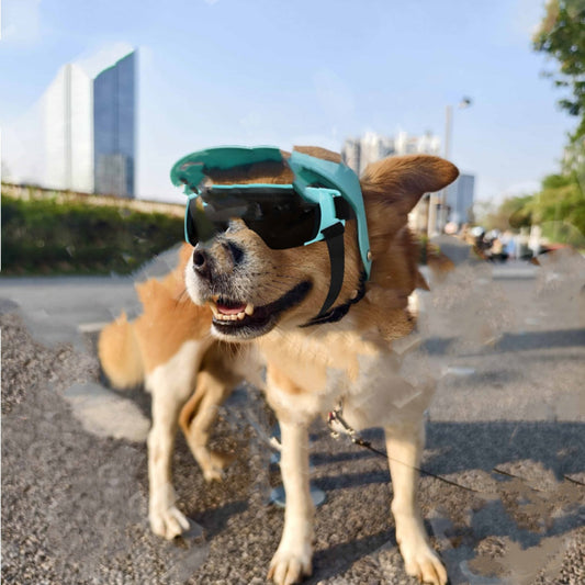 Gorra de Protección Solar para Mascotas - Accesorios Versátiles para Exteriores