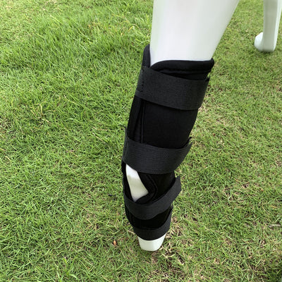 Rodillera Protectora para Perros con Soporte Antilamido y Recuperación Articular