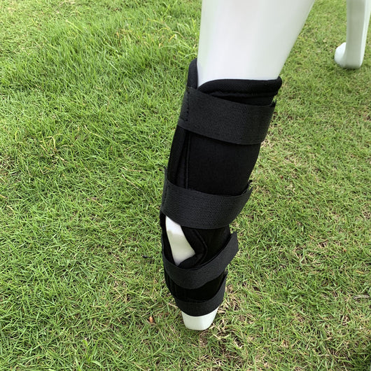 Rodillera Protectora para Perros con Soporte Antilamido y Recuperación Articular
