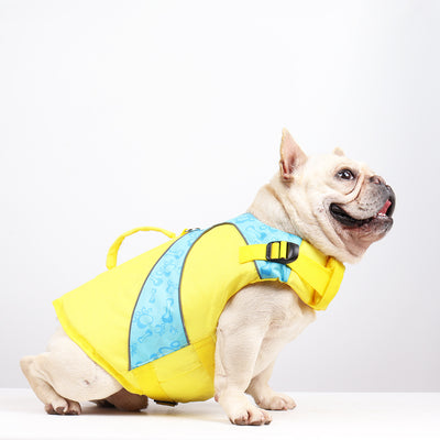Chaleco Salvavidas para Perros con Contraste de Colores Brillantes - Image 7