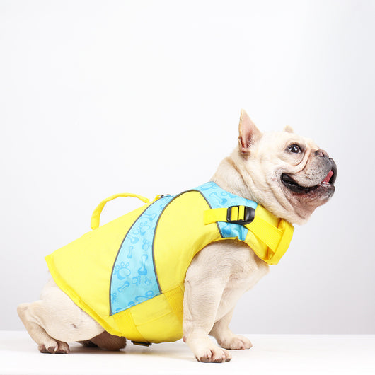 Chaleco Salvavidas para Perros con Contraste de Colores Brillantes - Image 7