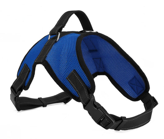 Arnés de Pecho para Perro - Image 16