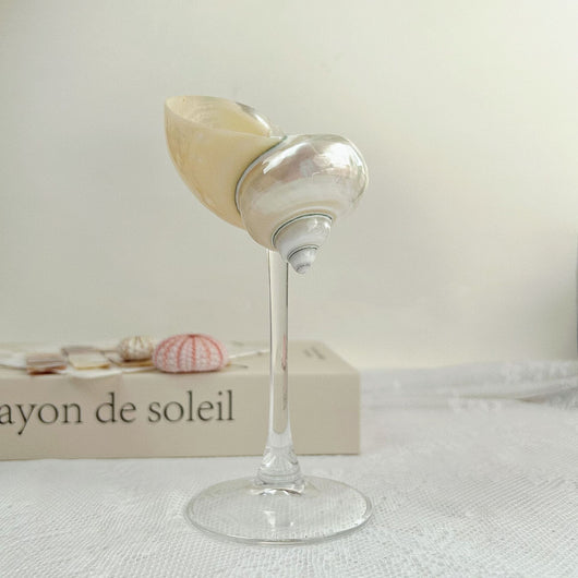 Copa Aromática Concha Marina - Difusor Decorativo Elegante - Image 6