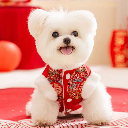 Ropa Acolchada de Año Nuevo para Mascotas - Abrigos Festivos para Perros y Gatos - Image 21