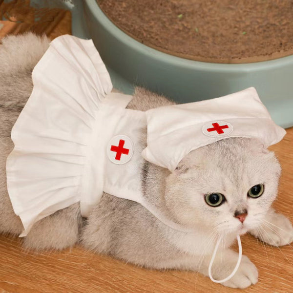 Conjunto de Vestido para Gato Personalizado y a la Moda - Image 3