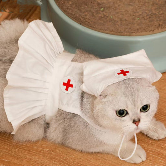 Conjunto de Vestido para Gato Personalizado y a la Moda - Image 3