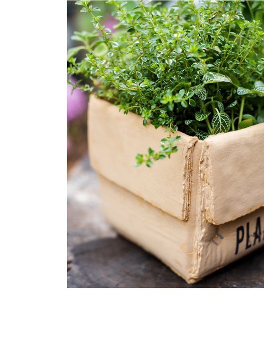 Maceta Creativa de Papel Cemento para Plantas de Interior y Balcón - Image 19
