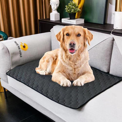 Tapete Absorbente Impermeable para Perros - Colchoneta Reutilizable Antideslizante