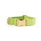 Apple Verde PP