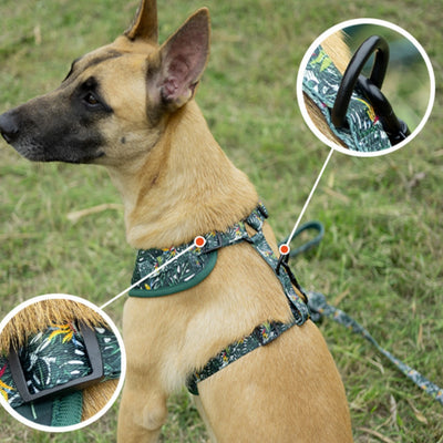 Arnés Ajustable para Perro con Cuerda de Tracción