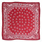 Rojo 70x 70 Cm