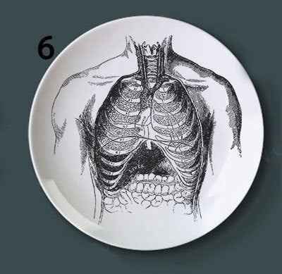 Placa Decorativa de Anatomía Ósea - Image 10