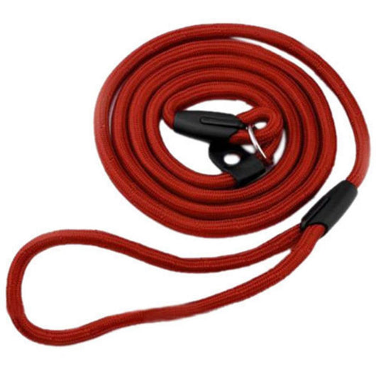 Correa de Nylon para Perro - Resistente y Segura - Image 7