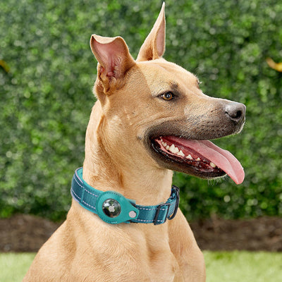 Collar Inteligente Rastreador para Mascotas - Prevención de Pérdida
