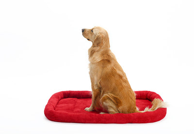 Cojín de Terciopelo para Mascotas - Image 9