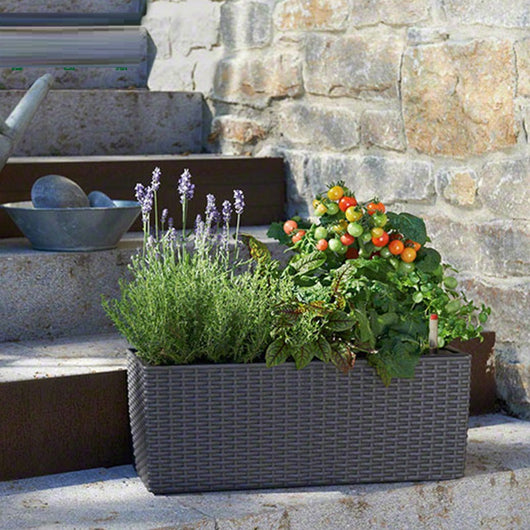 Maceta Grande con Riego Automático para Balcón y Terraza