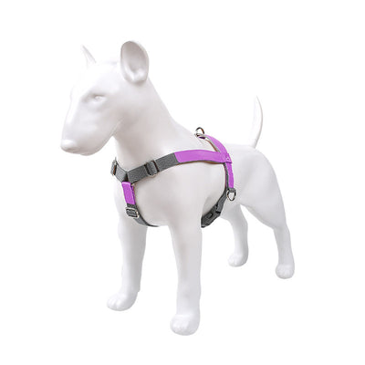 Arnés de Pecho para Perro en Cuero con Correa de Nylon - Image 27