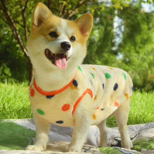 Chaleco Acolchado para Perros Medianos - Protección Térmica Invierno y Otoño - Image 8